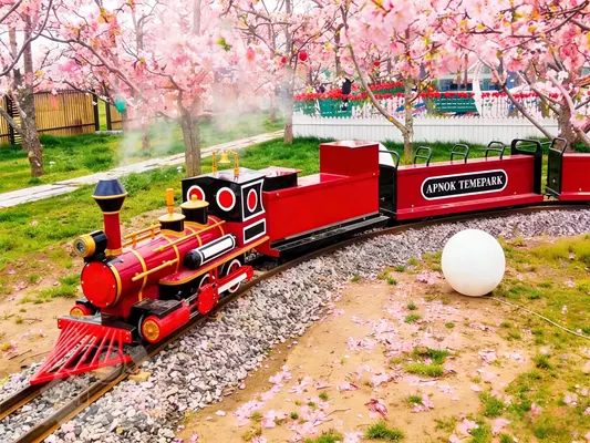 Cherry Blossom Train