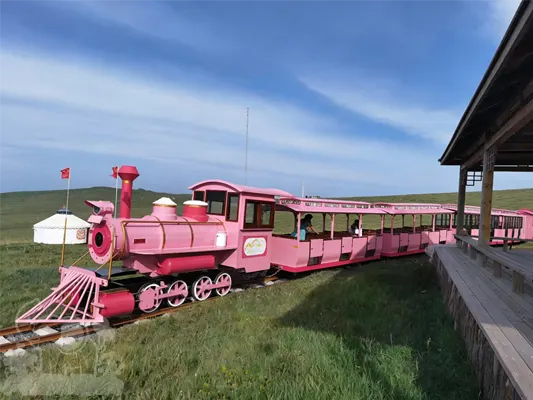 Custom Color Trackless Sightseeing Trains 6