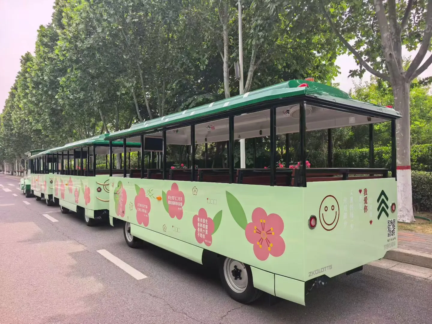 Custom Themed Sightseeing Train